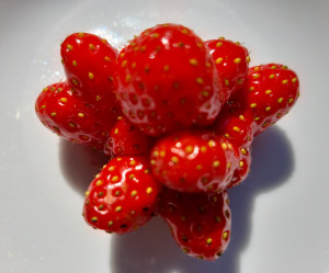 Erdbeeren - Bio-Obst Bio-Gemüse im Biogeschäft Biodelikat Bad Tölz